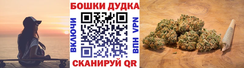 Купить где  Алагир  Каннабис Amnesia 